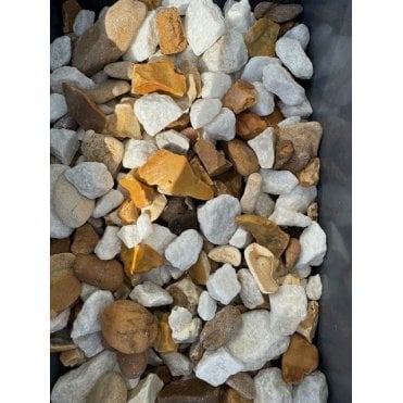 Polar Gold 20mm