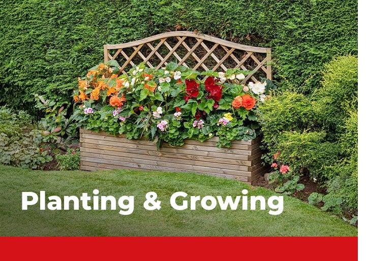 planting and growing
