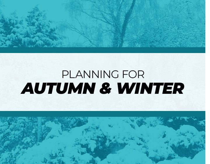autumn and winter