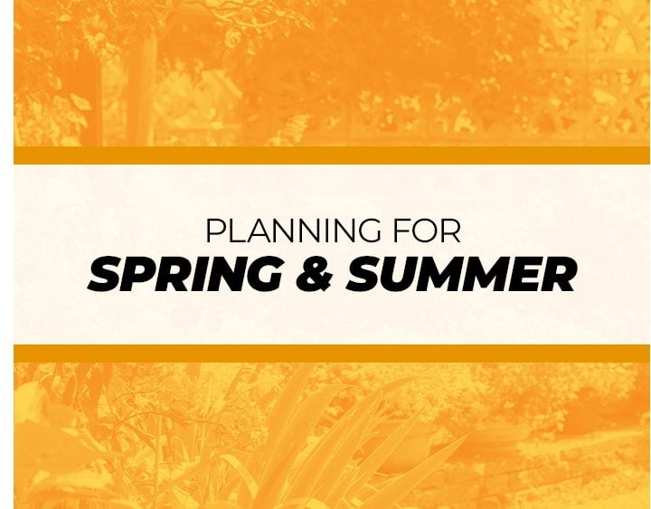 spring and summer