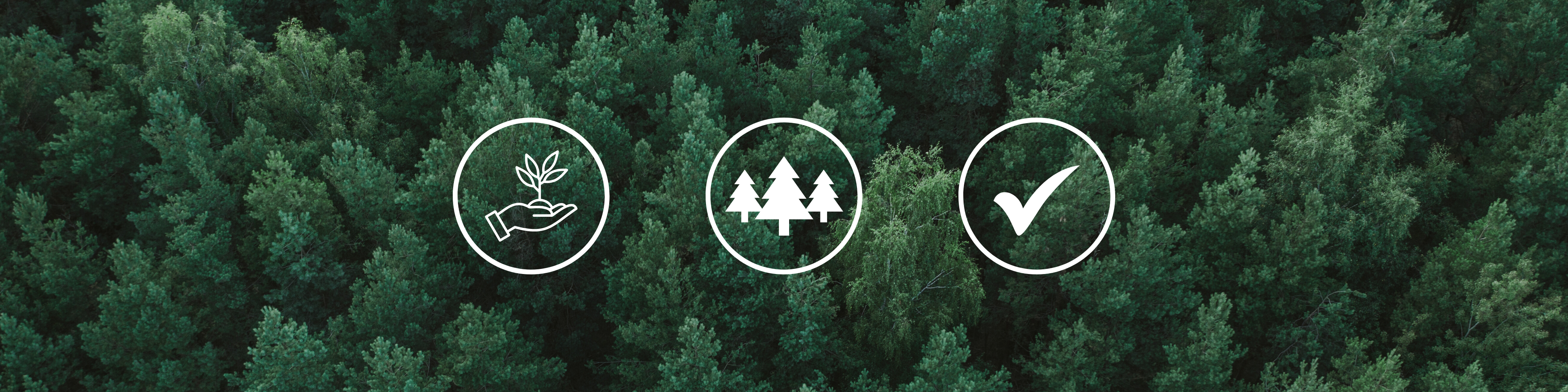 beatsons chain of custody