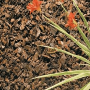 Top Soil & Bark
