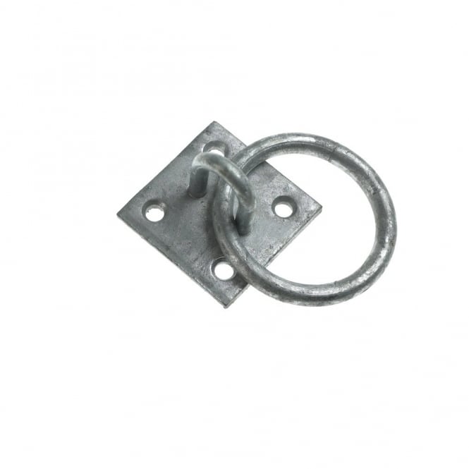 Eliza Tinsley 2inch  Galvanised Rings on Plates (Boxes of 10)