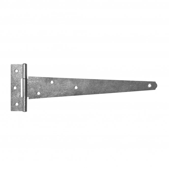 Eliza Tinsley Galvanised Medium Tee Hinges 14