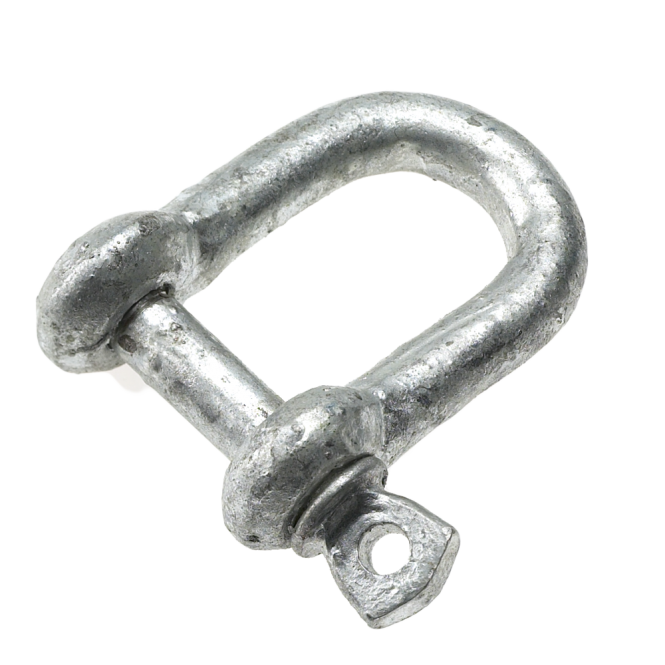 Eliza Tinsley Galvanised Untested D Shackles