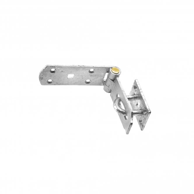 Eliza Tinsley Heavy Hasp & Staple with Brass Pin and Fixings
