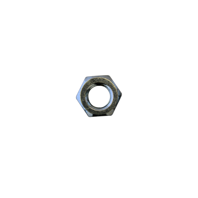 Eliza Tinsley M10 BZP Hexagon Nut