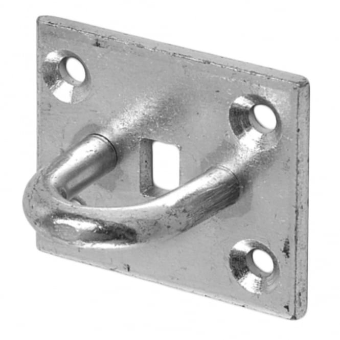 Eliza Tinsley Staple on Oblong Plate 51x64mm BZP (Box of 10)