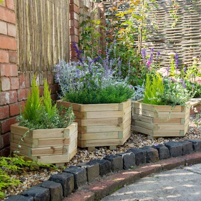 Forest York Hexagonal Planter - Set of 3