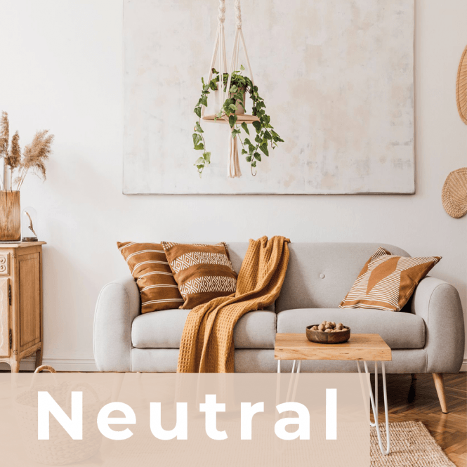 Leyland Shades of Neutral High Gloss