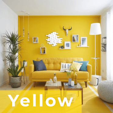 Shades of Yellow Eggshell