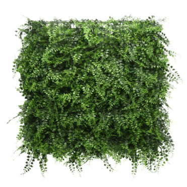 Fern Hedge - Artificial Living Wall - 50x50cm