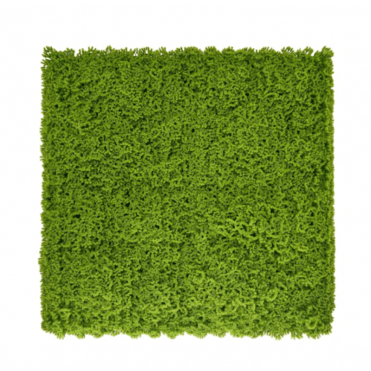 Lime Green Artificial Moss Living Wall Panel - 100x100cm