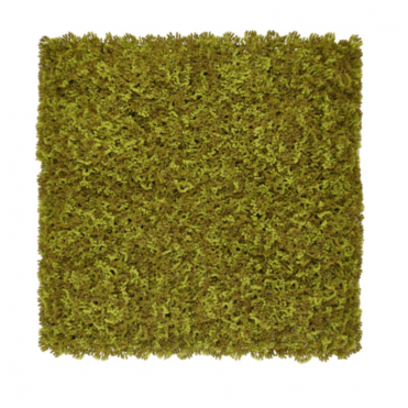 Moss/Olive Green Artificial Moss Living Wall Panel - 100x100cm