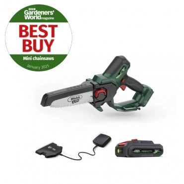 Webb 20V 15cm (6") Cordless Pruning Saw (2AH Battery & Charger)