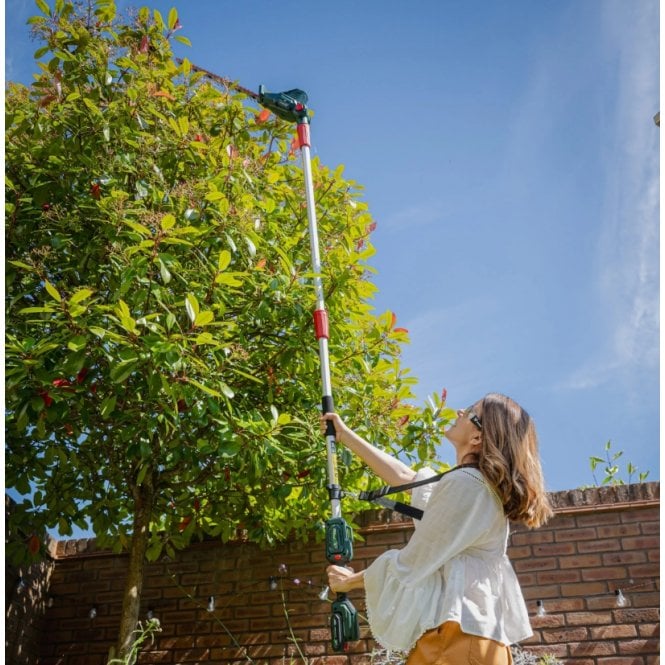 Webb  20V 50cm (20