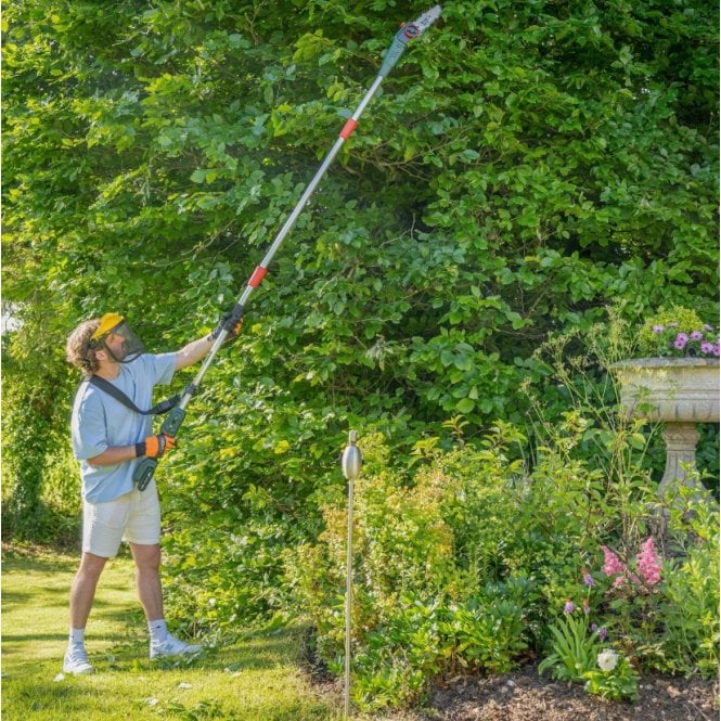 Webb  20V 50cm (20