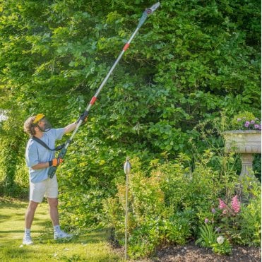 Webb 20V 50cm (20") Cordless Long Reach Hedge Trimmer & Pruner attachment (2AH Battery & Charger)
